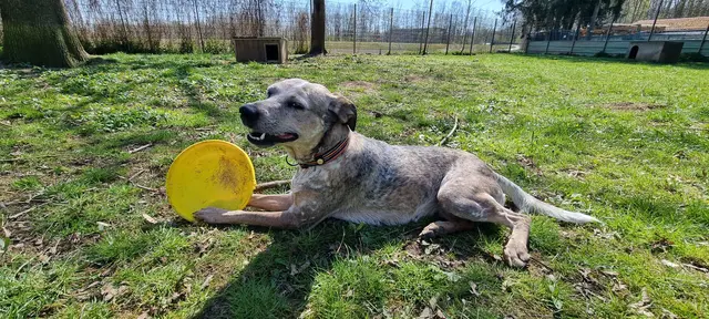 Emma | Foto: Sabine Pollok