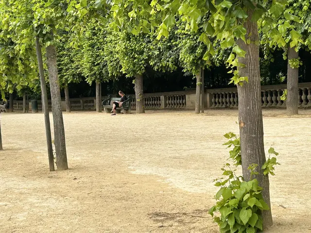 Gegenüber vom Schloss befindet sich ein großer, schöner Park. 