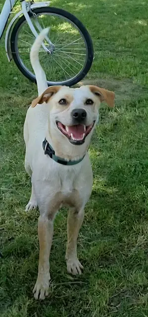 Emily | Foto: Sabine Pollok