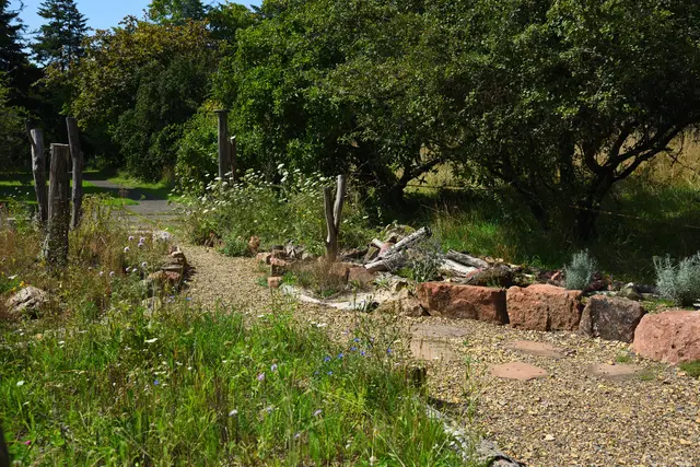 Ein kleines Stück Schaugarten als Beispiel für den eigenen Garten zuhause.