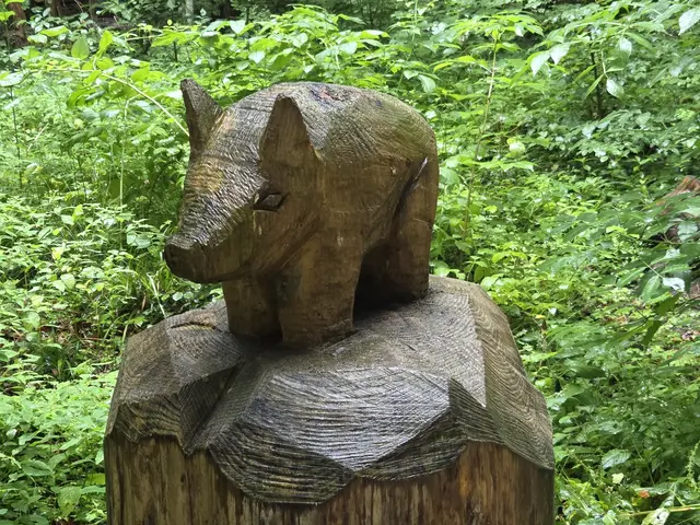 Eine sportliche Wanderung von Dießen am Ammersee über den wildromantischen Schacky-Park zum Schacky-Park und zur Schatzbergalm bietet die Abteilung Alpin des TSV Gersthofen am 14.09.2025 an.
