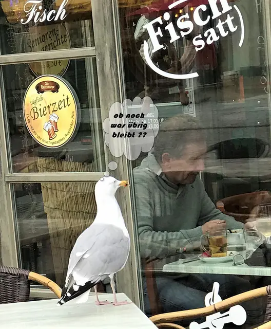 Jeden Tag Bierzeit  aber ich muß hungern.