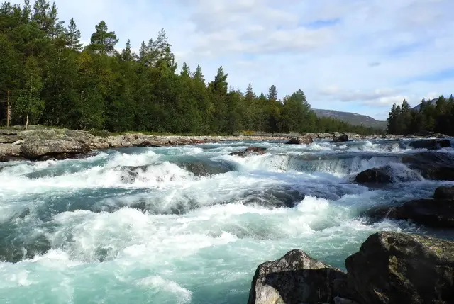 Nur etwa neun Prozent der Gewässer in Deutschland, an Flüssen, Bächen und Seen, befinden sich in einem ökologisch zufriedenstellenden Zustand. In Norwegen kann man Wasser aus der Natur meist bedenkenlos trinken.