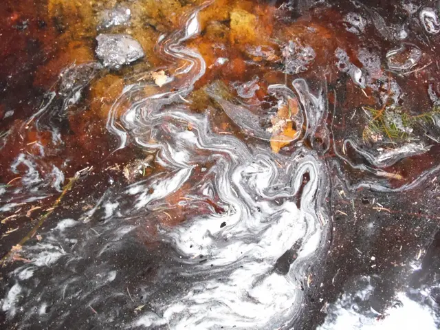 Solche und ähnliche Wasserverschmutzungen gibt es überall auf der Welt. Über zwei Milliarden Menschen - also über ein Viertel der Weltbevölkerung - haben keinen Zugang zu sauberem Trinkwasser.