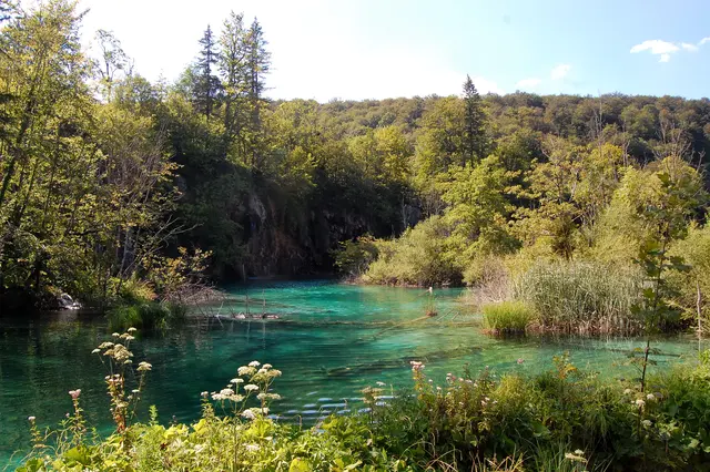 Ein Grund, für klares, sauberes Wasser zu sorgen.