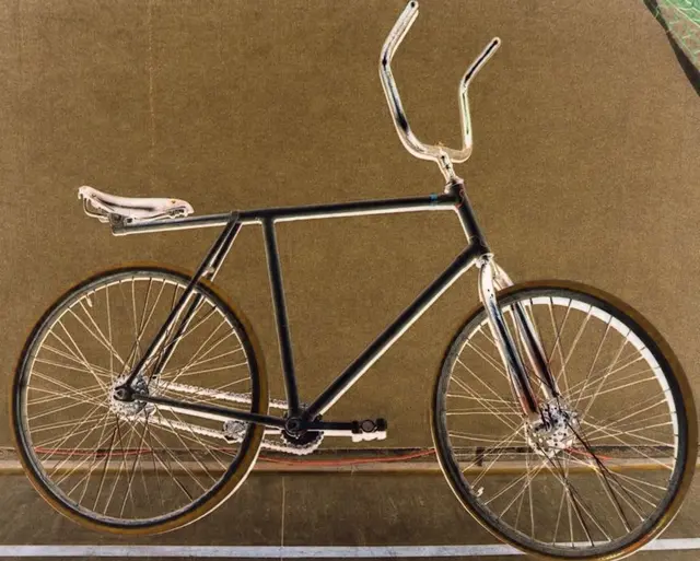 Nicole - 1 Punkt -  Radball