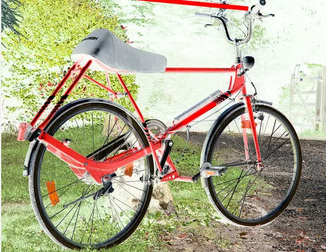 Nicole - 1 Punkt - Cavallo