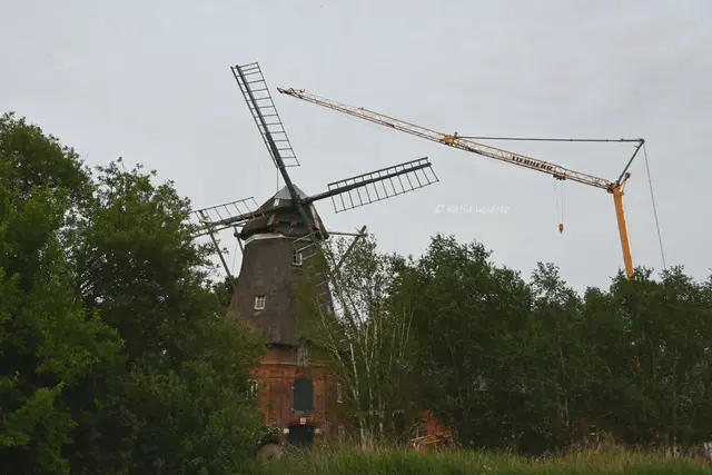 Mühlen in Niedersachsen (Foto: Katja Woidtke)

Galerieholländermühle Ursel in Dedestorf | Foto: Katja Woidtke