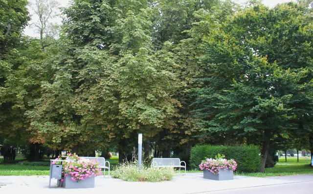 Schlosspark an der Hauptstraße | Foto: Peter Heider