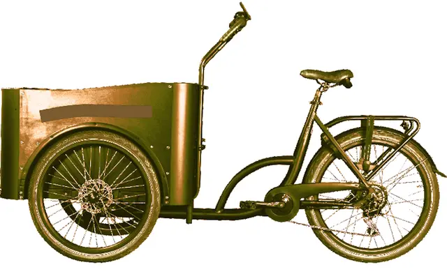 Iris - 1 Punkt - -Lastenfahrrad