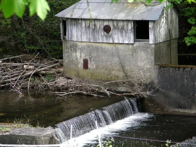 Nicole - 1 Punkt - Ennepe