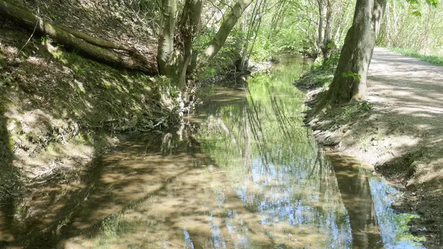 Nicole - 1 Punkt -  Aprather Bach