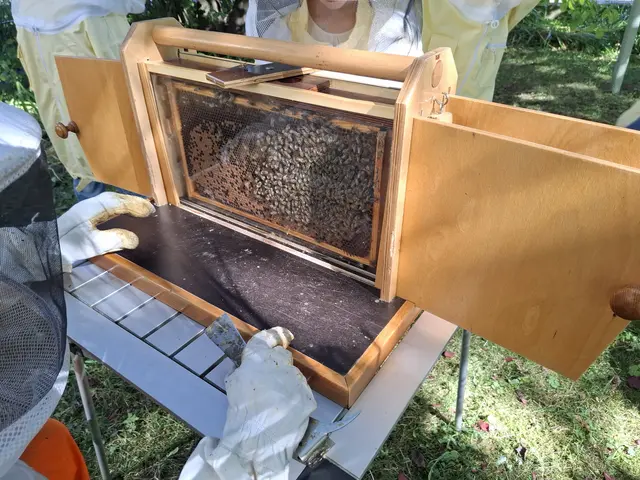 Foto: Susanne Pehlgrim & Silke Meitinger