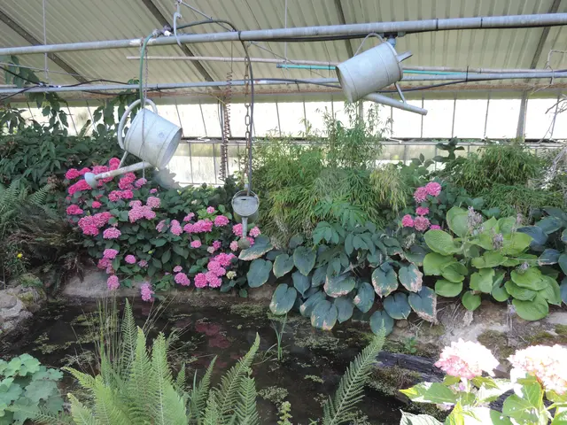 AWO Bad Arolsen im Hortensienpark