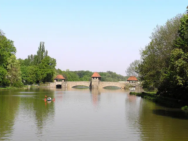 Nicole - 1 Punkt- Elster