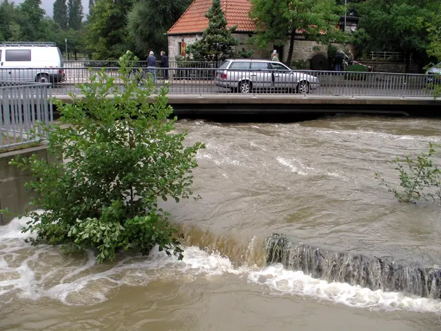 Nicole - 1 Punkt - Steinfurter Aa