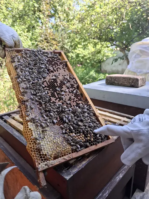 Foto: Susanne Pehlgrim & Silke Meitinger