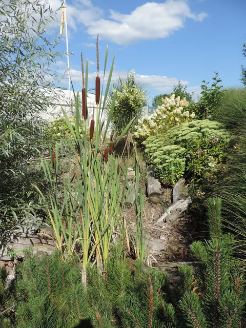 AWO Bad Arolsen im Hortensienpark