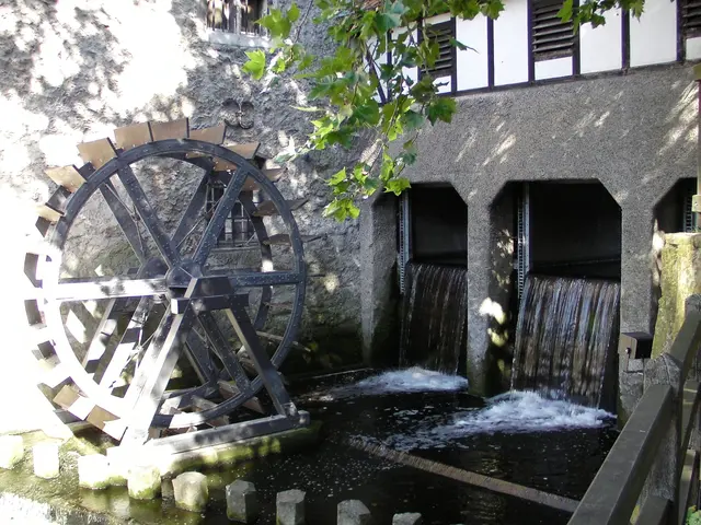 Nicole - 1 Punkt - Stever