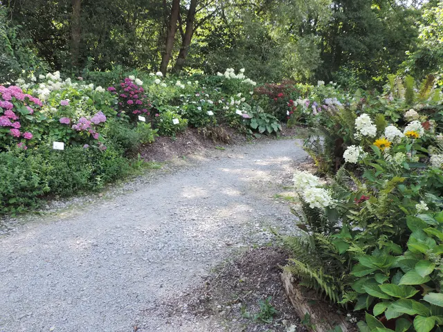AWO Bad Arolsen im Hortensienpark