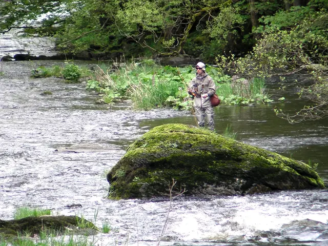 Nicole - 1 Punkt -  Rur