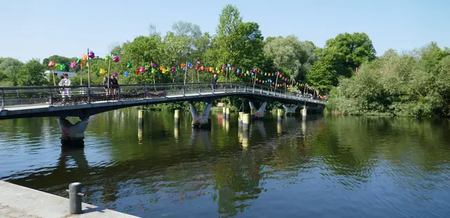 Nicole - 1 Punkt - Trave