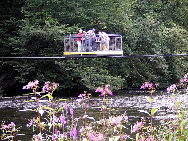 Nicole - 1 Punkt - Wupper