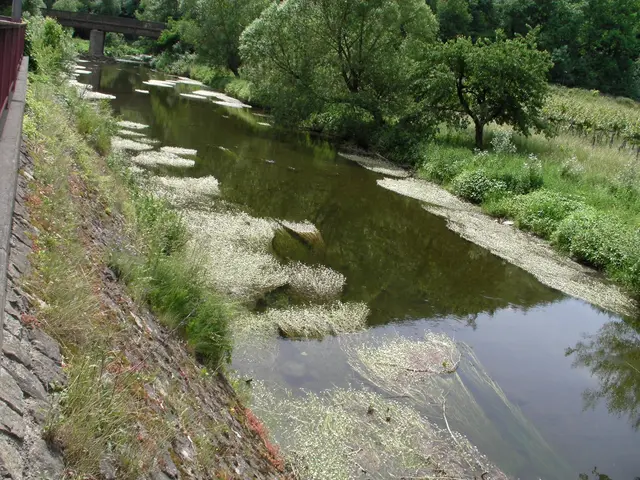 Nicole - 1 Punkt - Ahr