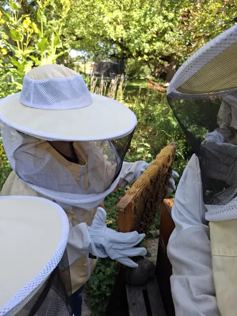 Foto: Susanne Pehlgrim & Silke Meitinger