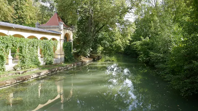 Susanne - 1 Punkt - Tauber