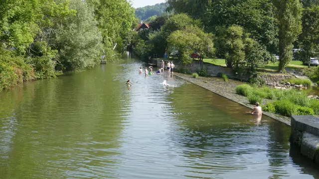 Nicole - 1 Punkt - Diemel