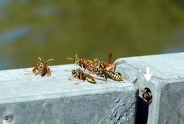 Hier sieht man den Eingang