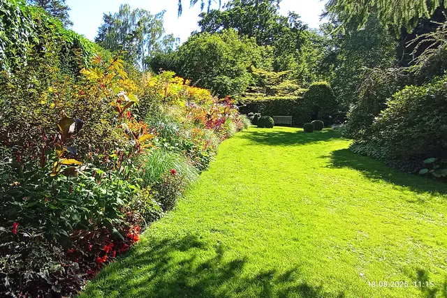 im Privatgarten, buntes, Struktur, Blattformen
ebenso mochte er Farbspiele
z.B. rote Blüten mit grünen Blättern, dunkelrote Blätter oder Stengel, 