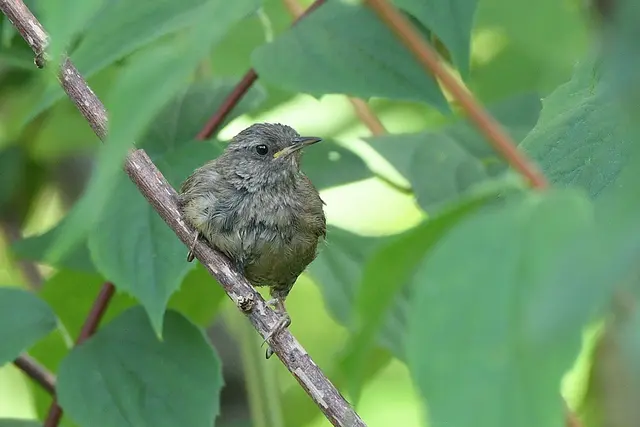 Foto: Copyright Andreas Schäfer