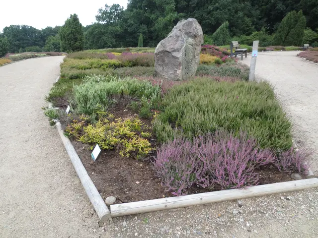 Schön durch den Findling