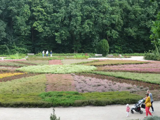 Vom Aussichtsturm gesehen.