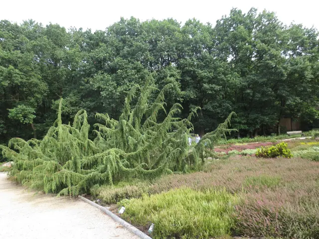 So etwas haben wir noch nie gesehen, einfach toll.