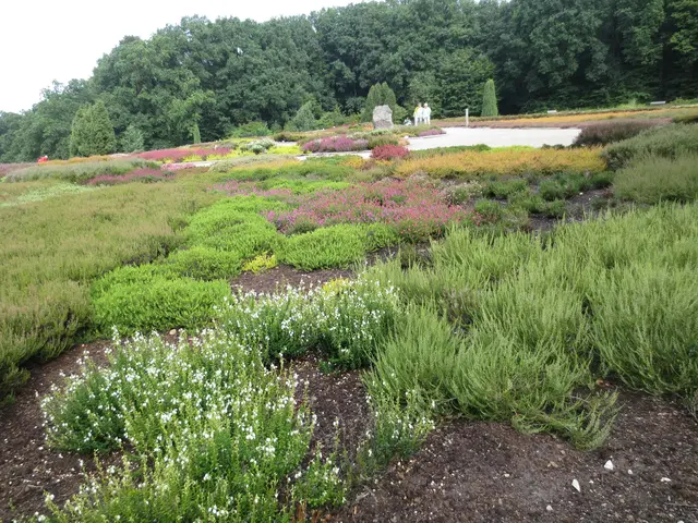 Eine große Fläche, bunt gewürfelt.