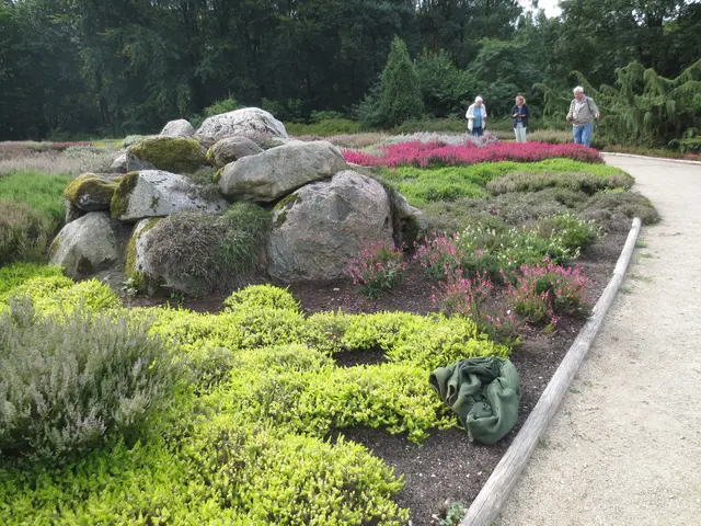 Das gefällt mir sehr gut.