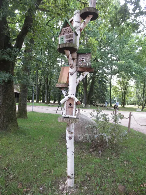 Hier sind Vögel und anderes Insekten willkommen.