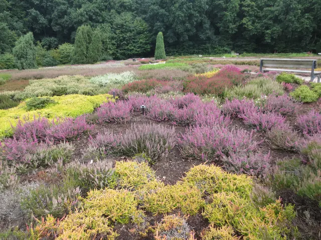 An manchen Stellen wurde schon wieder neu gepflanzt.