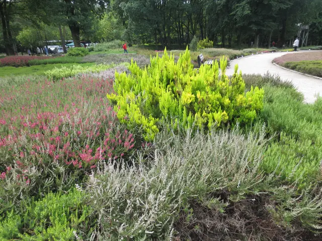 Auch schön mit dem hell dazwischen.