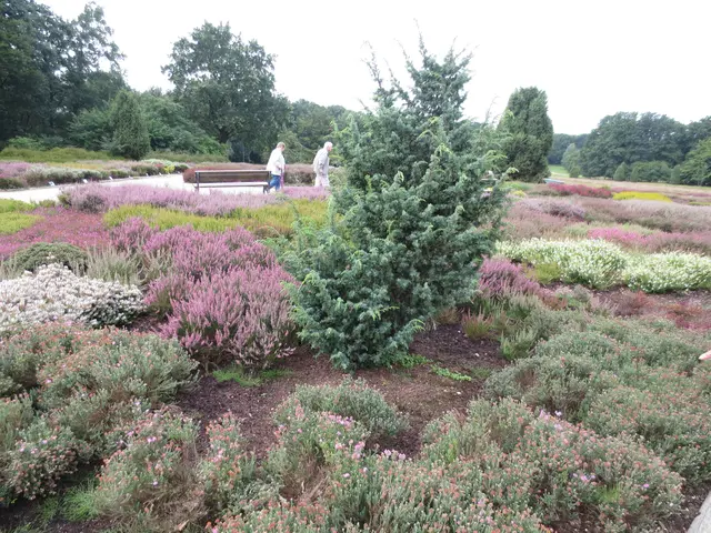 Überall laufen unsere Mitfahrer rum.