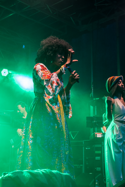 Reggae in Wulf 2025 | Foto: FSeventfoto