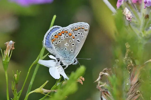 Foto: Copyright Andreas Schäfer