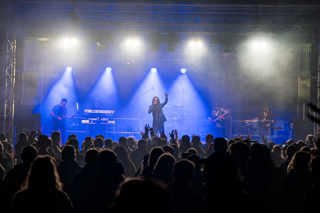 Beste Ticketverkäufe, ein Mega-Line-up an Spitzenbands der Szene, stets gute Laune und immer beste Vibes an allen Stellen: Mit diesen Worten lässt sich das Festival „Reggae in Wulf 2025“ treffend beschreiben. | Foto: FSeventfoto