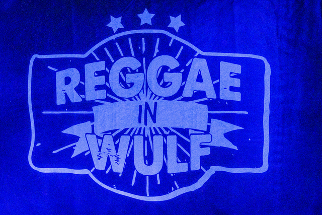 Reggae in Wulf 2025 | Foto: FSeventfoto