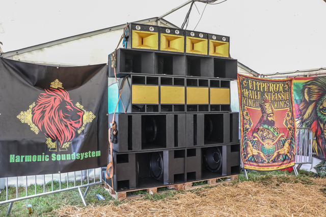 Reggae in Wulf 2025 | Foto: FSeventfoto