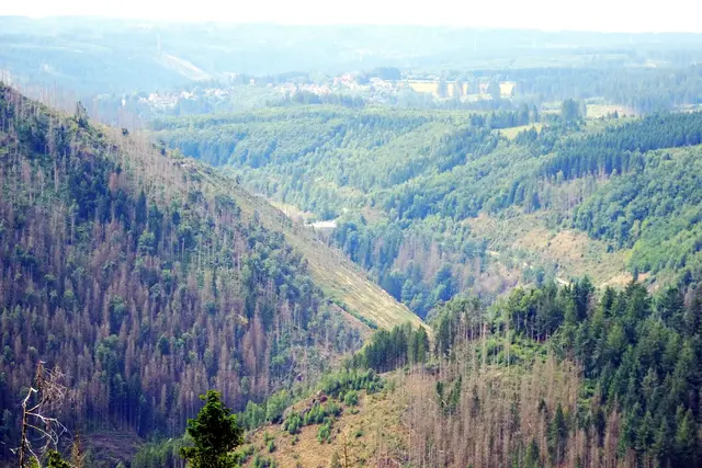 Blick von der Kästeklippe ins Okertal, im Hintergrund ist Schulenberg schwach zu erkennen