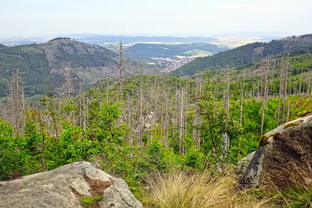 Blick von der Kästeklippe nach Oker